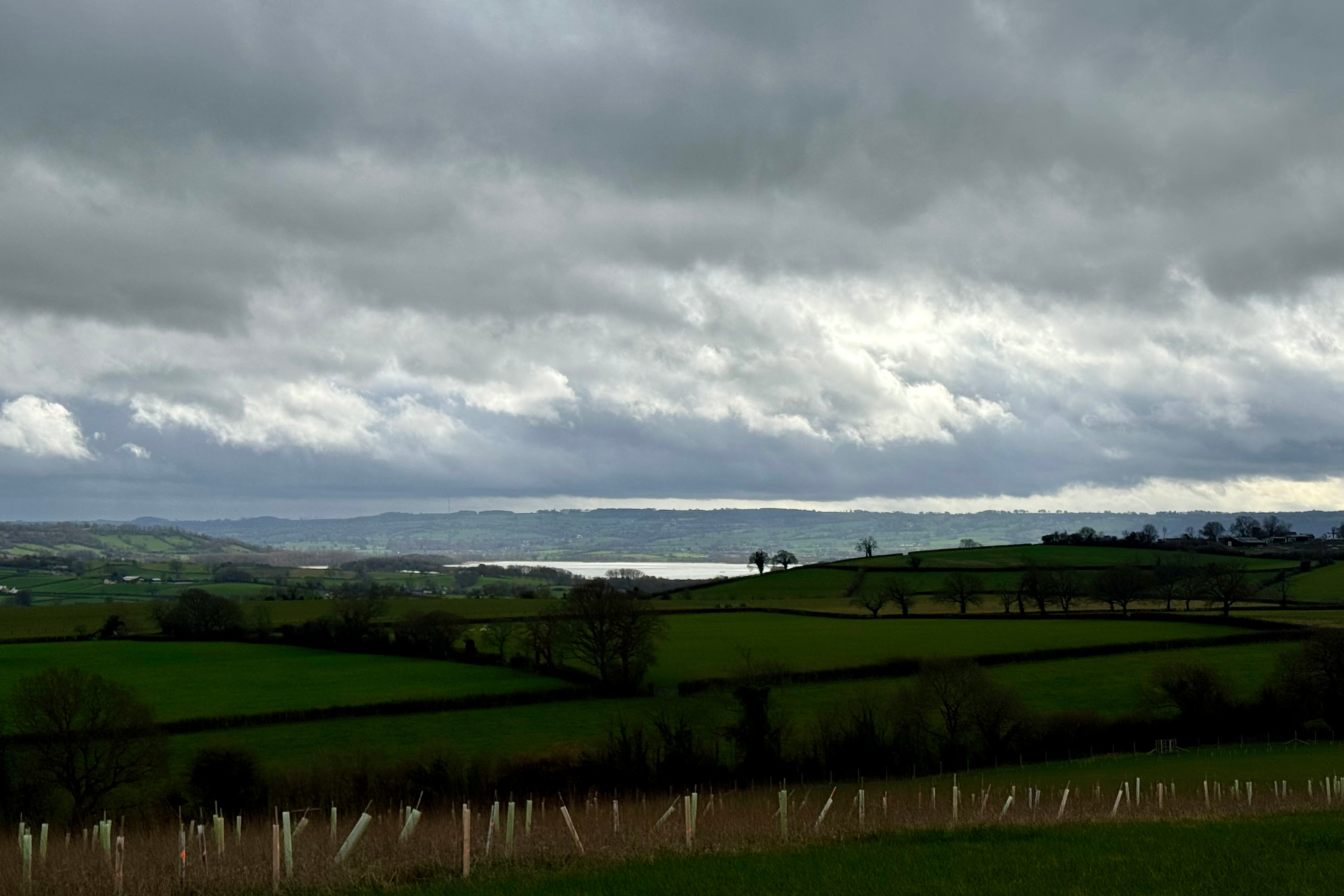 9trees site visit chew valley