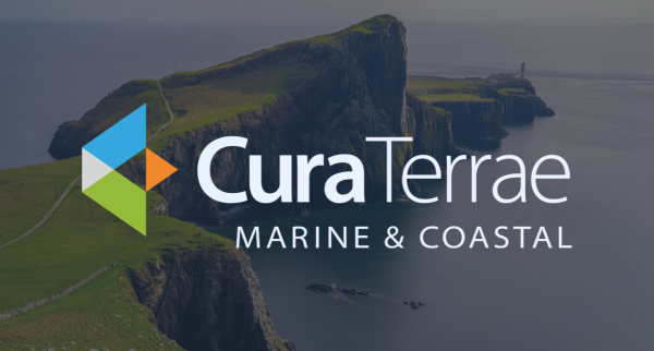 Cura Terrae launches new Marine and Coastal division to support sustainable development and nature recovery